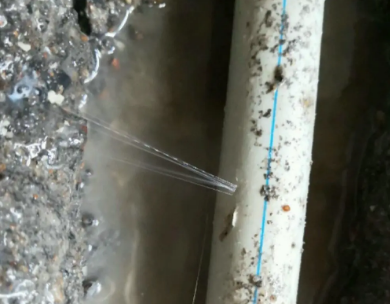 鲅鱼圈测漏水哪家好