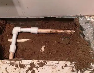 鲅鱼圈测漏水哪家好