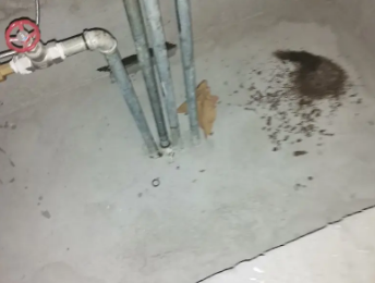 鲅鱼圈卫生间测漏水价格明细