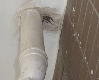 鲅鱼圈漏水检测哪家好